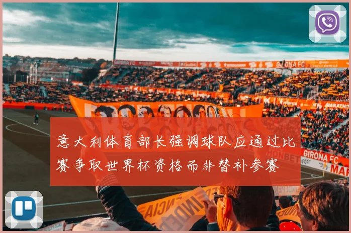 意大利体育部长强调球队应通过比赛争取世界杯资格而非替补参赛